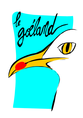 Goéland - Quadri