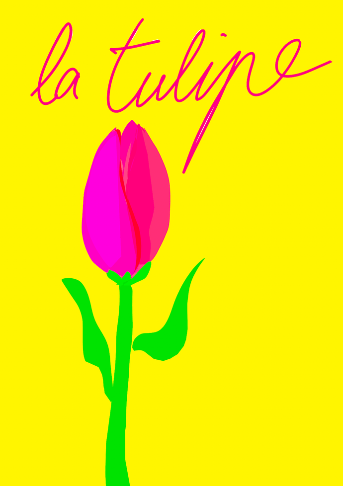 La Tulipe - Quadri