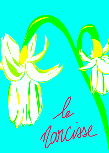 Le Narcisse - Quadri